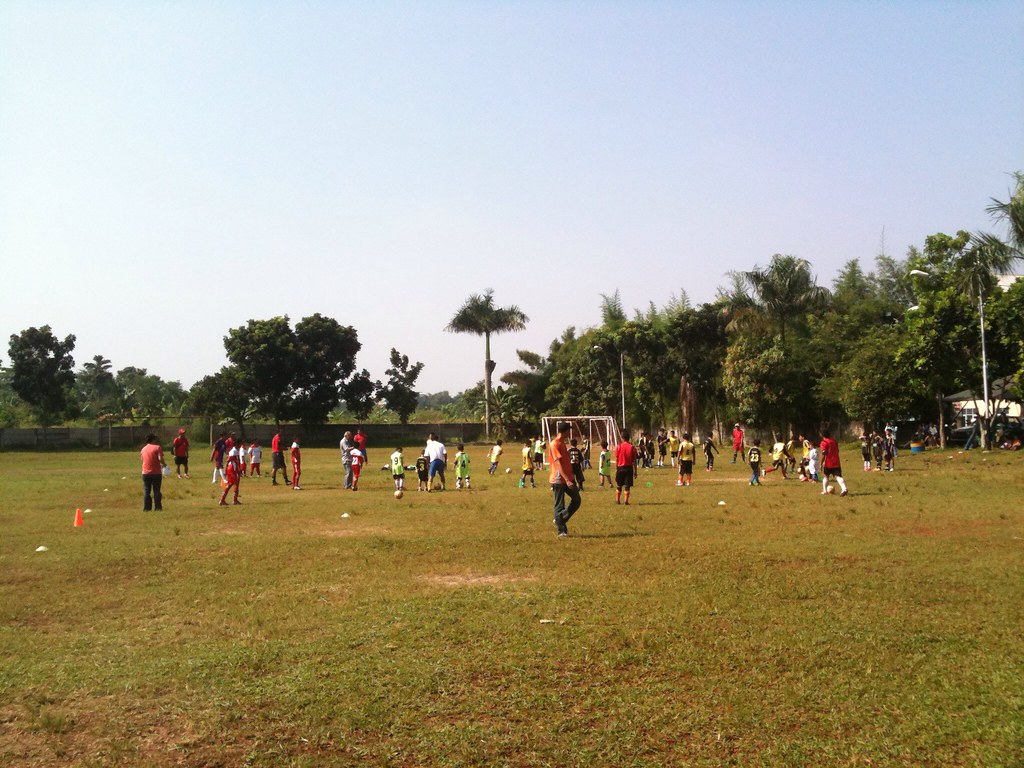 Grass - HD Wallpaper 