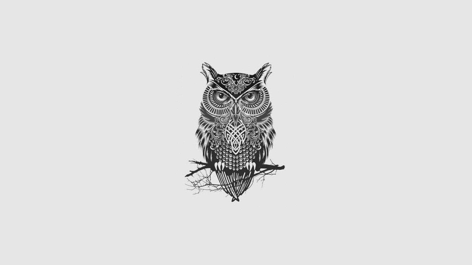 Minimalist Desktop Wallpaper Owl - HD Wallpaper 
