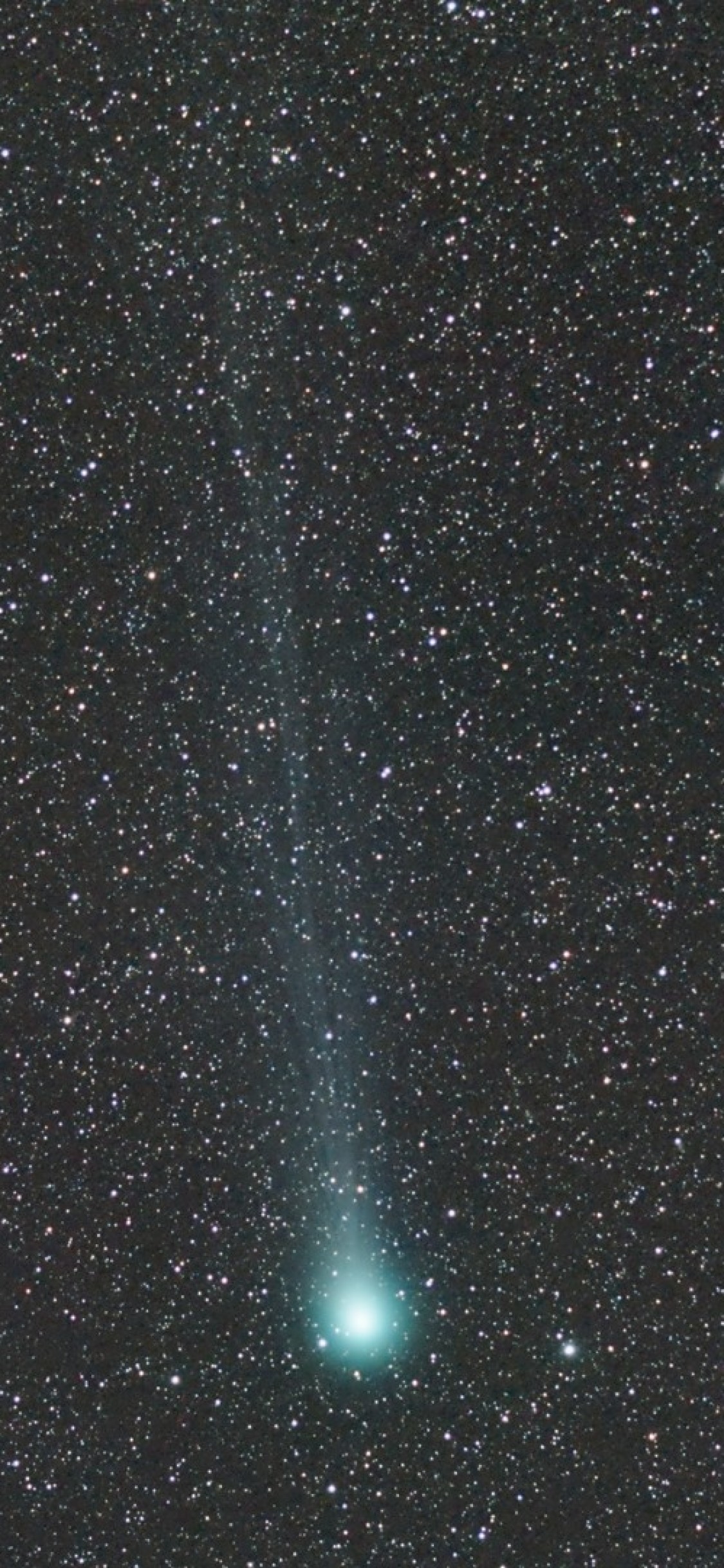 Tattoo Flash - HD Wallpaper 