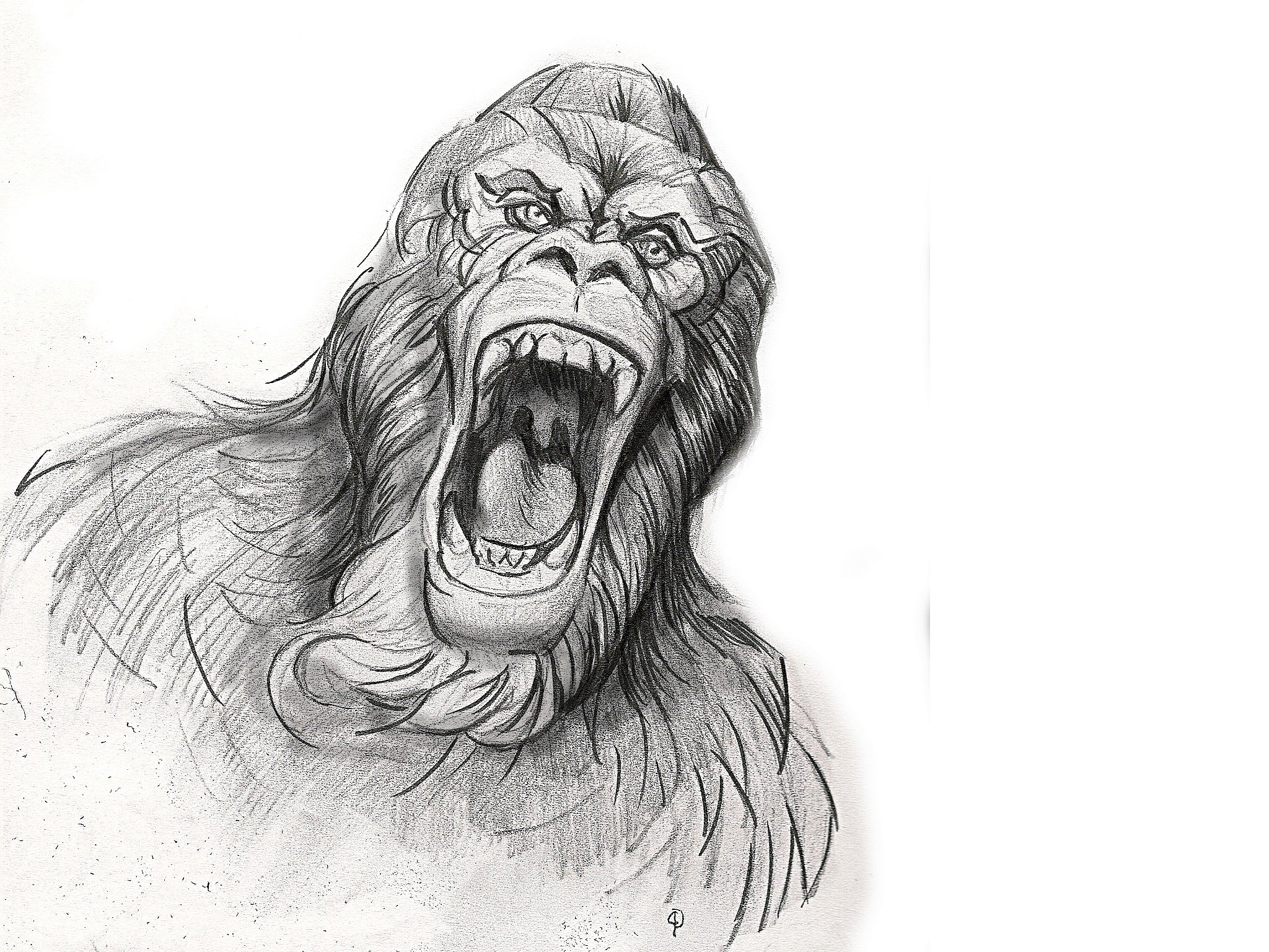 Gorilla Spank - HD Wallpaper 