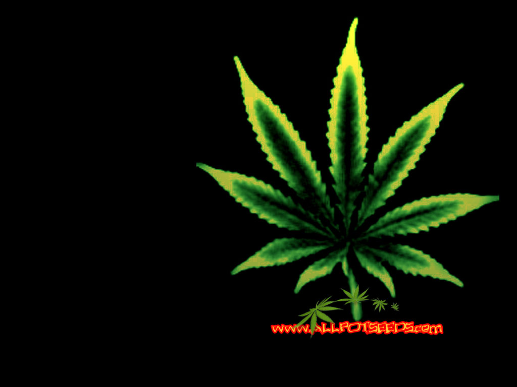 Marijuana Wallpapers - Pot Leaf - 800x600 Wallpaper 