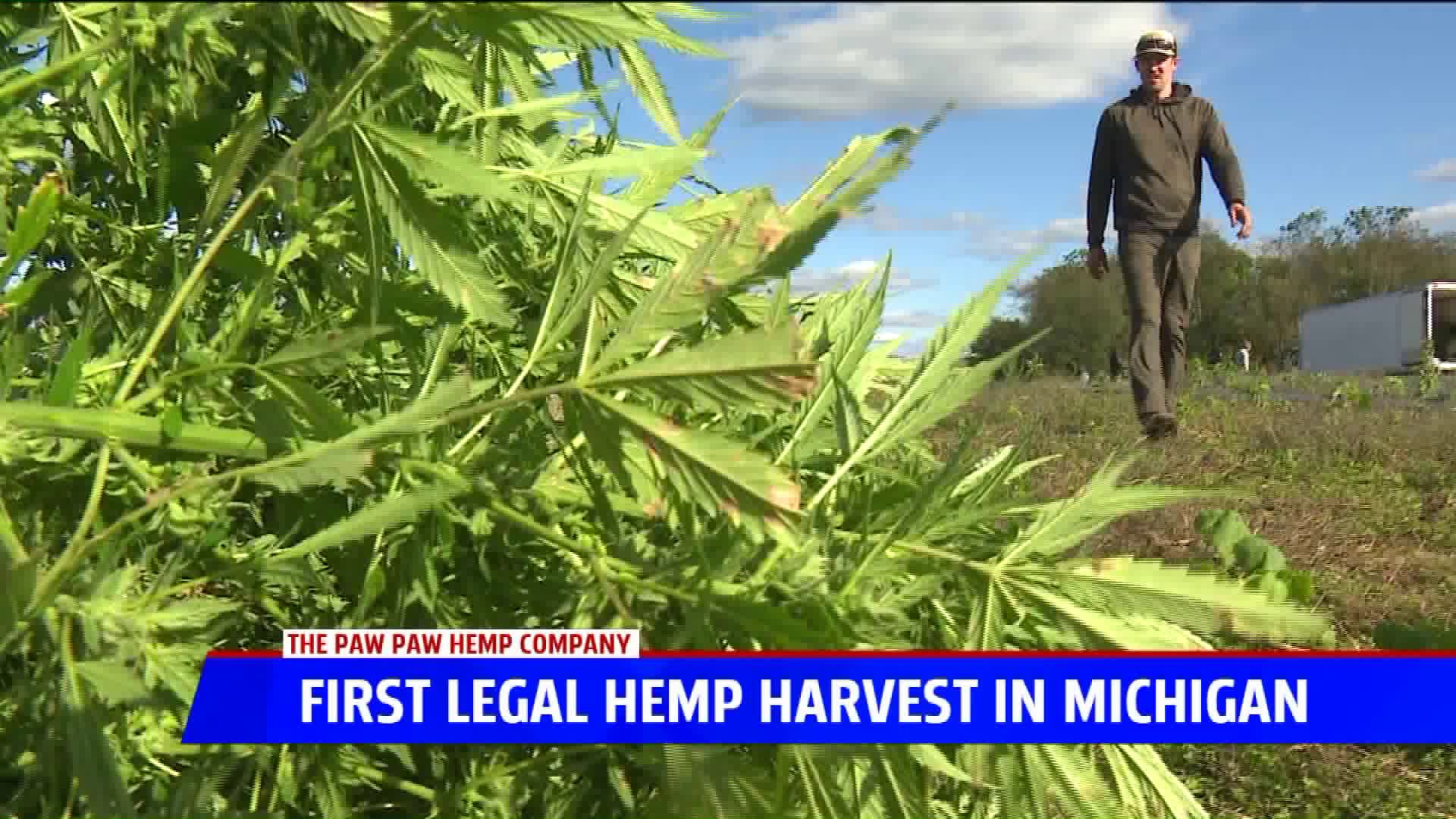 Items - [0] - Videotitle - Plantation - HD Wallpaper 