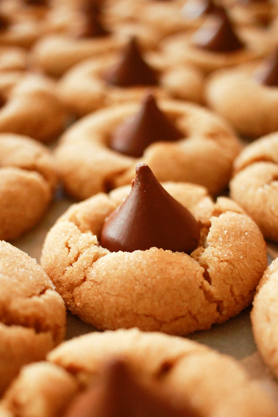Peaut Butter Hershey Kiss Cookies, Hershey S Chocolate - Christmas Treats To Make - HD Wallpaper 