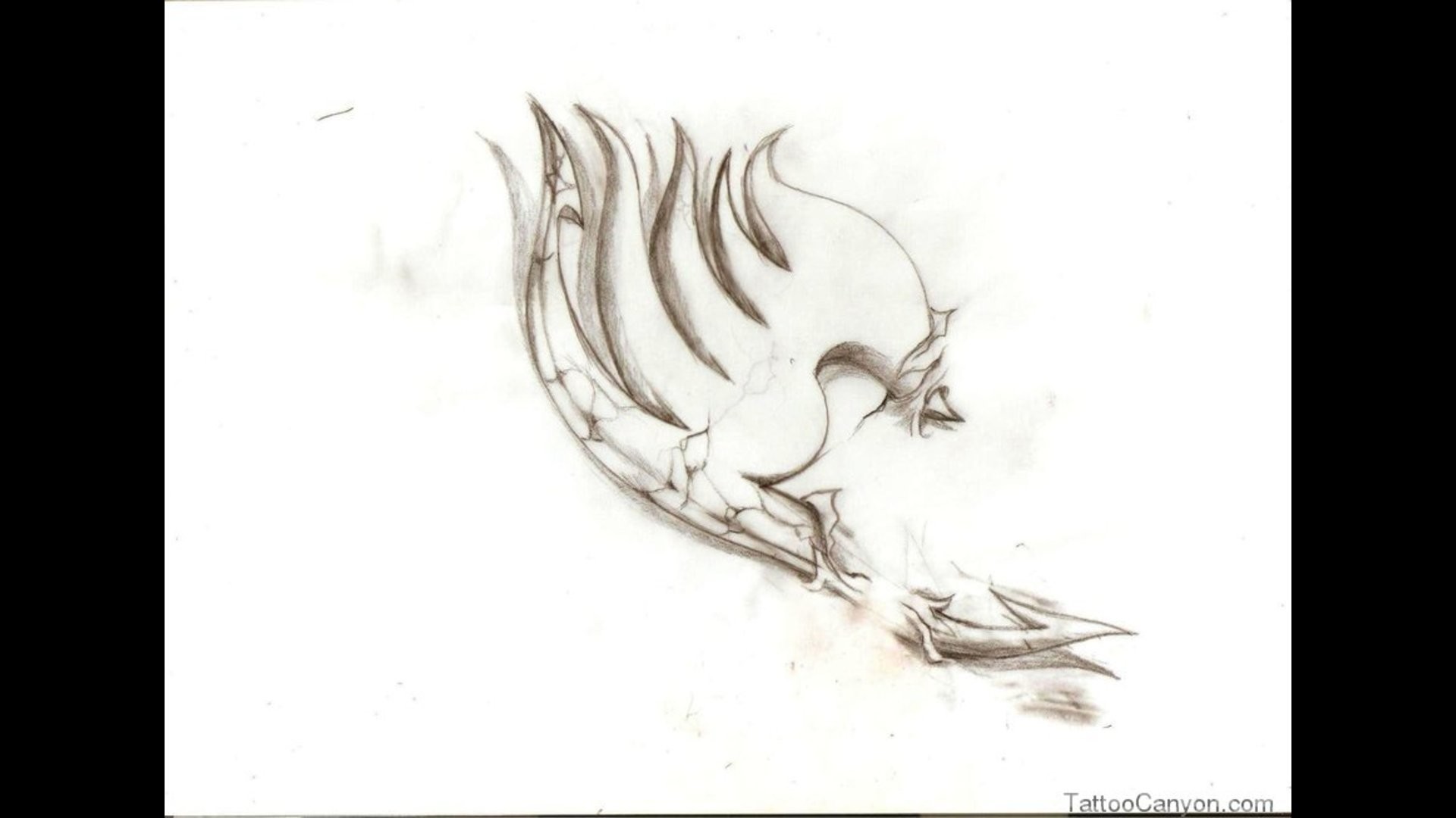 White Fairy Tail Symbol Tattoo Design Data Src Free - Fairy Tail Drawings  For Tattoo - 1920x1080 Wallpaper 