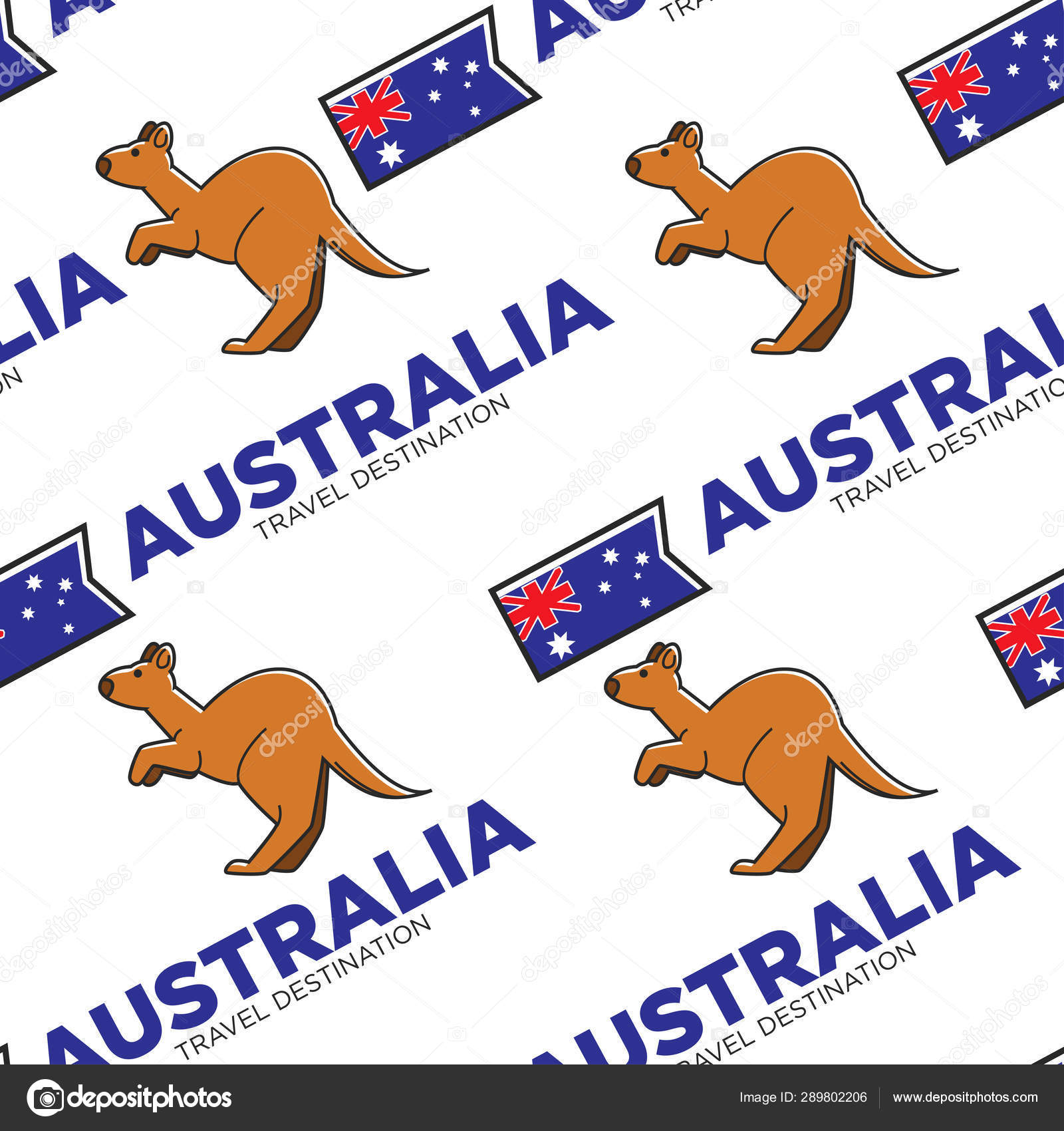 Kangaroo - HD Wallpaper 