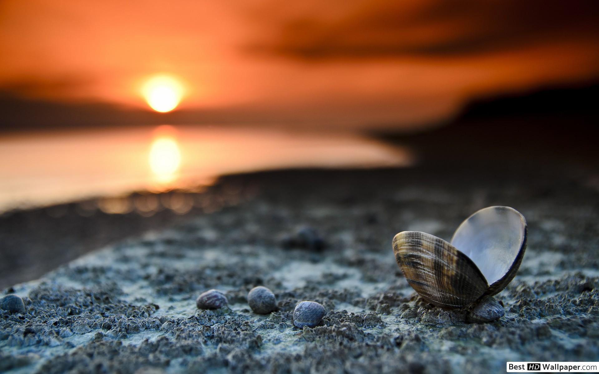 Best Hd Wallpapers For Laptop - HD Wallpaper 