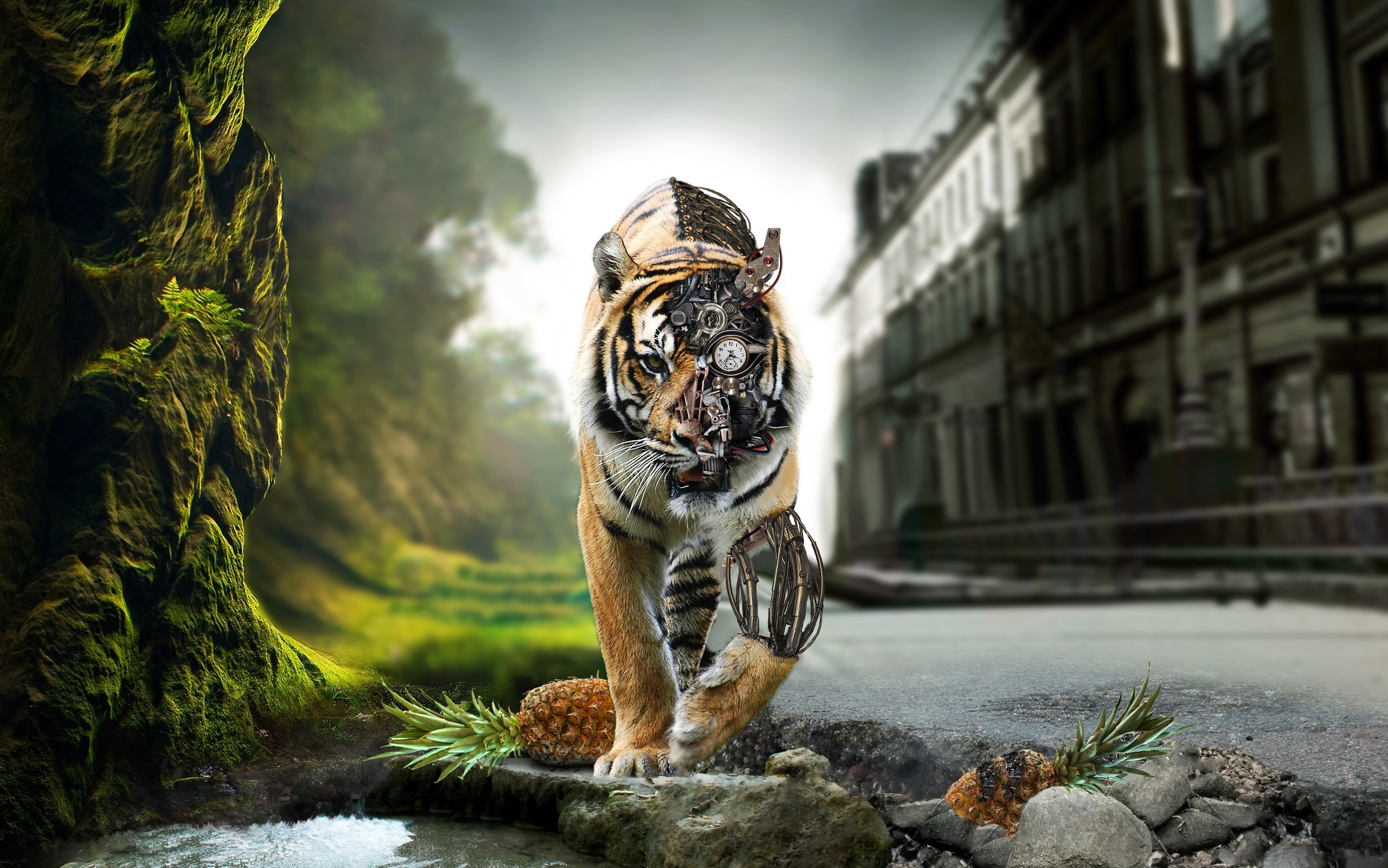 Awesome Tiger Wallpaper 
 Data-src - Adršpach-teplice Rocks - HD Wallpaper 