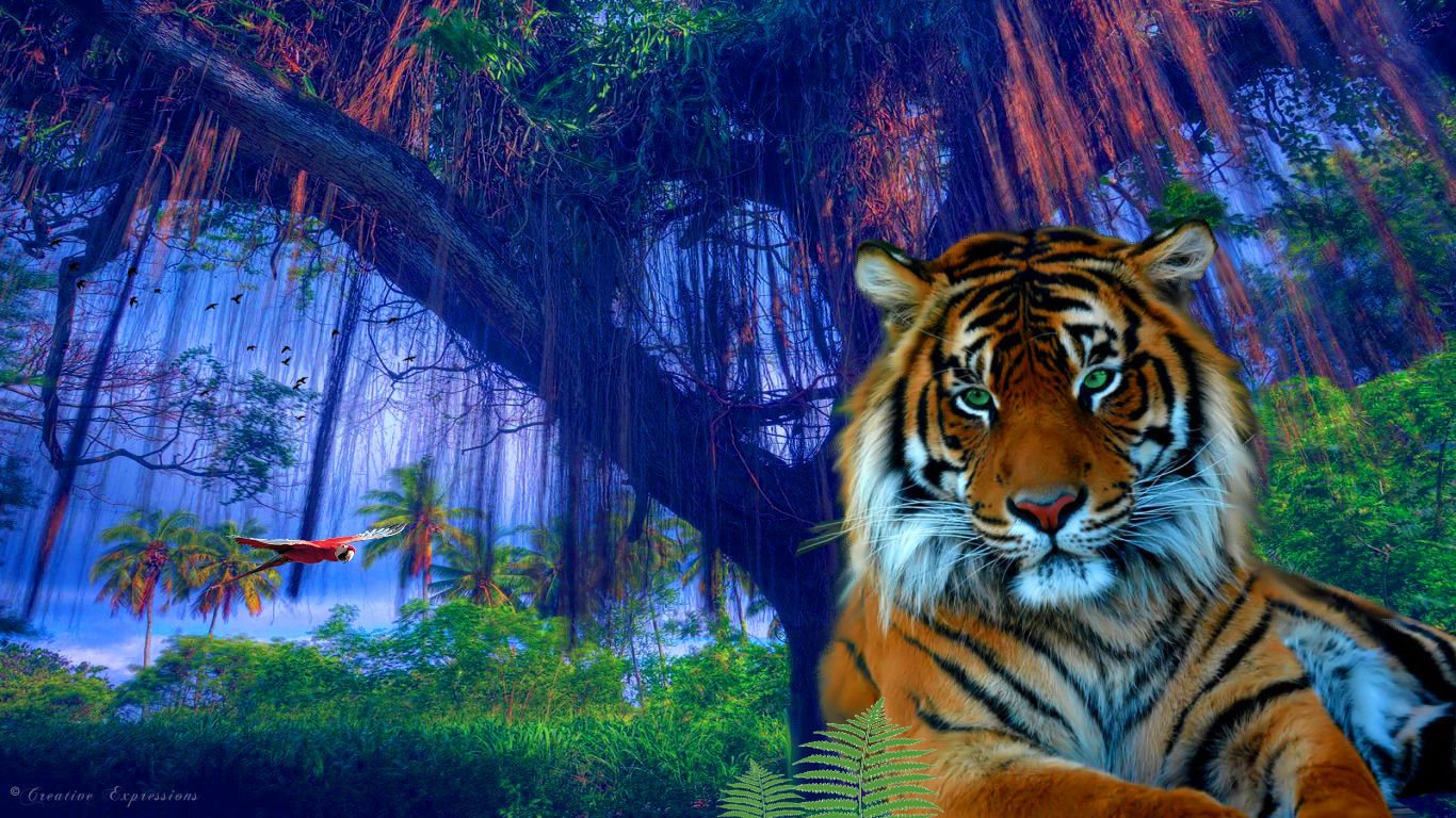 Jungle Background With Tiger - HD Wallpaper 
