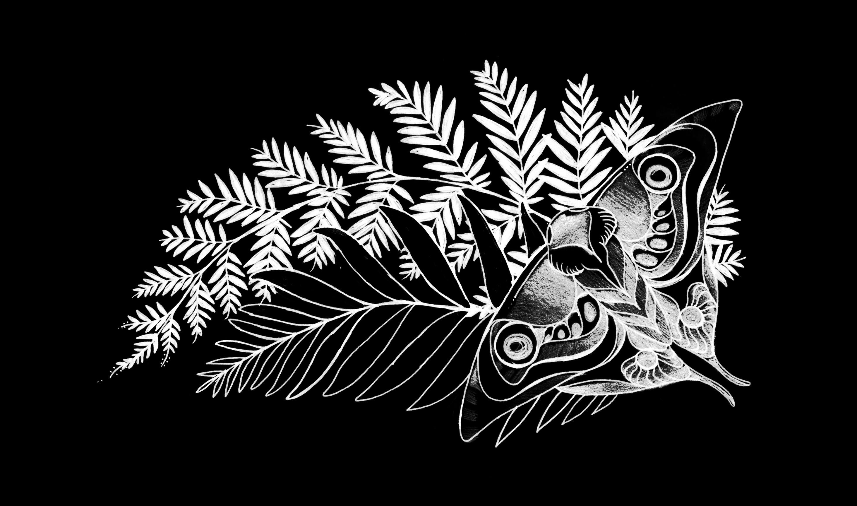 Imageellie Tattoo Wallpaper In Black Data-src /w/full/d/2/6/543438 - Sony The Last Of Us Series - 2928x1728 Wallpaper Imageellie Tattoo Wallpaper In Black Data-src /w/full/d/2/6/543438 - Sony The Last Of Us Series - 2928x1728 Wallpaper