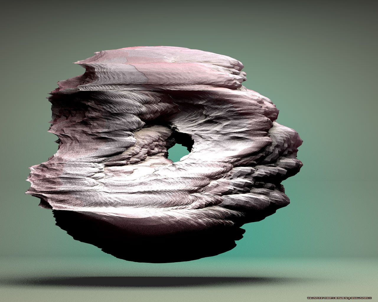 Macro Photography - HD Wallpaper 