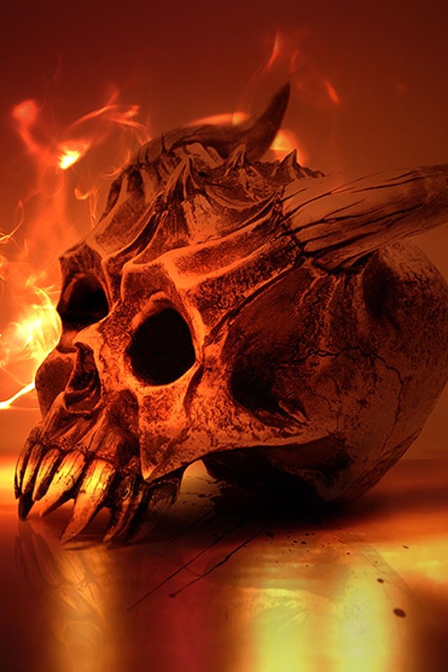 Burning Skull - HD Wallpaper 
