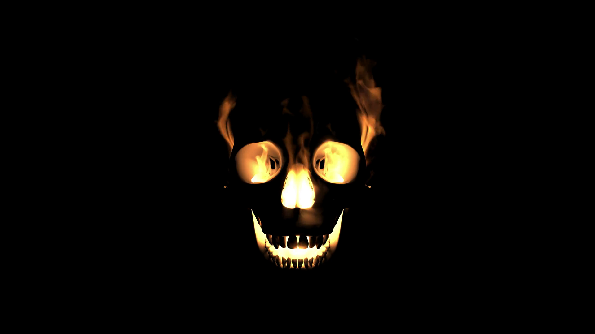 Skull - HD Wallpaper 