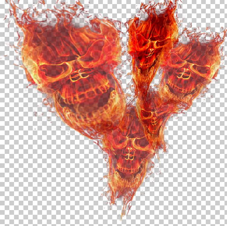 Fire Flame Skull Light Png, Clipart, Art, Combustion, - Transparent Mango Splash Png - HD Wallpaper 