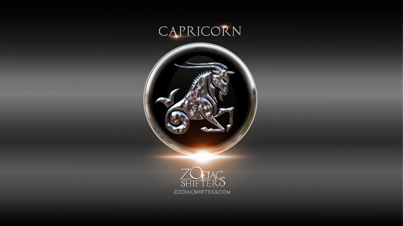 Stallion - HD Wallpaper 