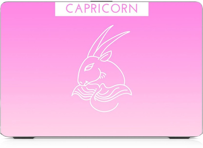 Domestic Rabbit - HD Wallpaper 