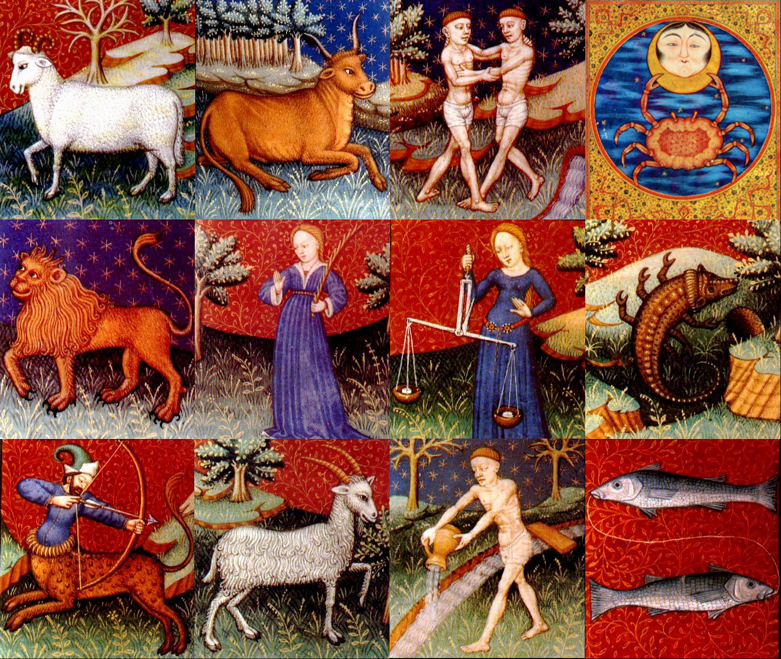 Taurus - HD Wallpaper 