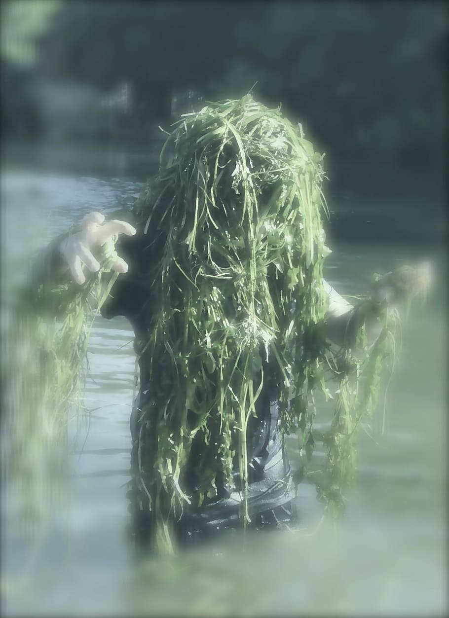 Water Sprite, Aquarius, Seaweed, Sea Monsters, Aquatic - Does A Pond Monster Look Like - HD Wallpaper 