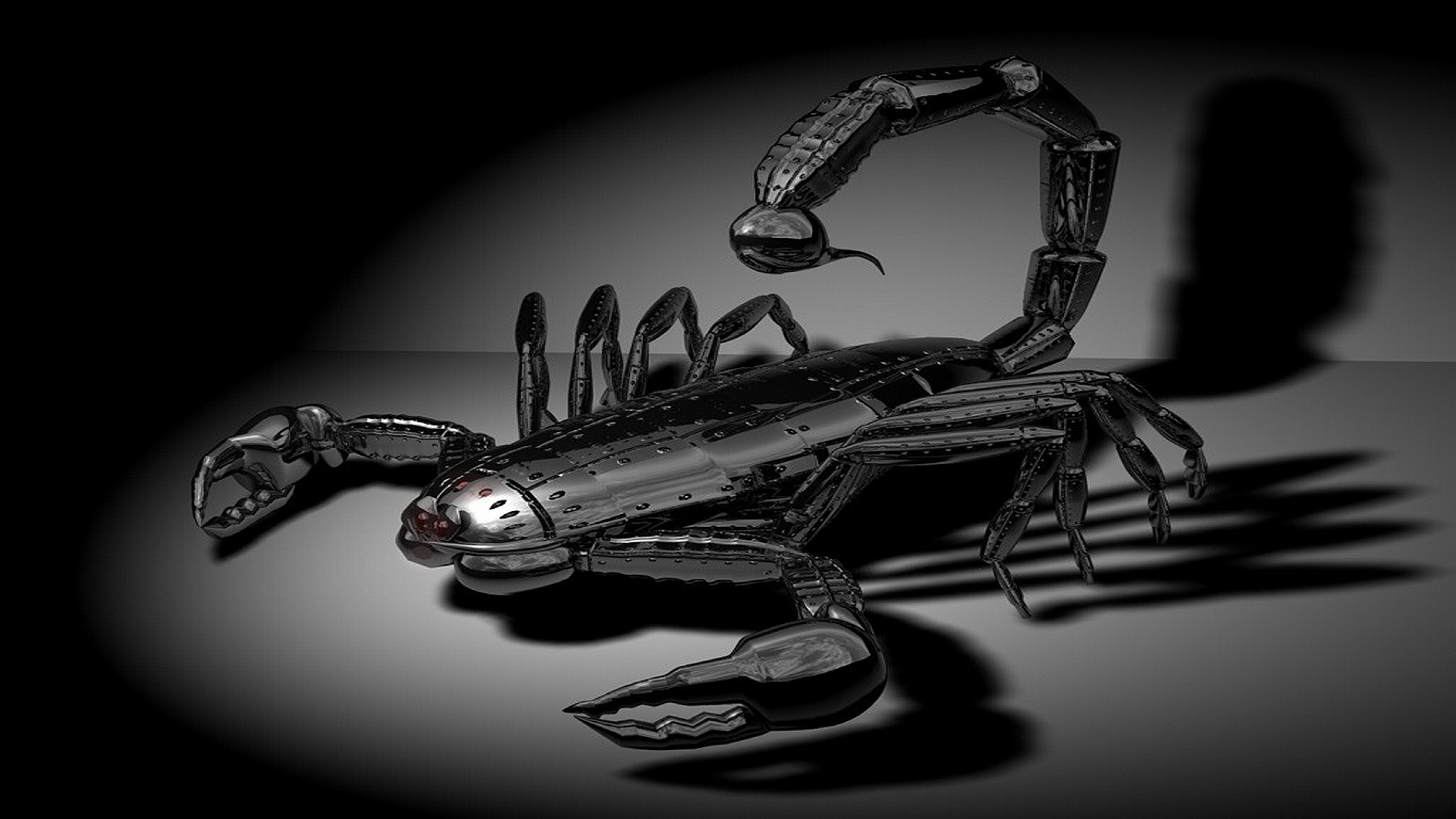 3d Scorpion - HD Wallpaper 