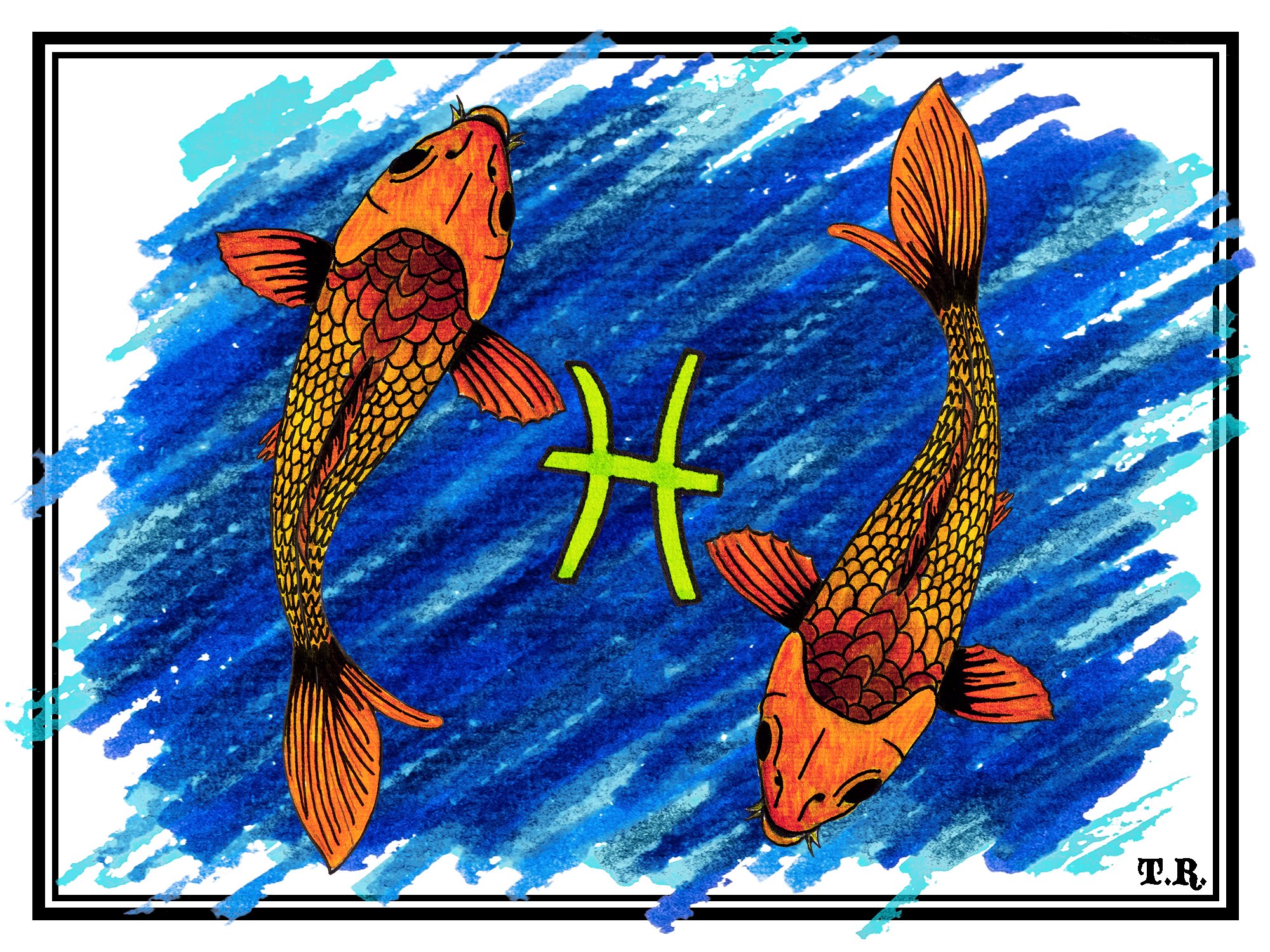 Coral Reef Fish - HD Wallpaper 