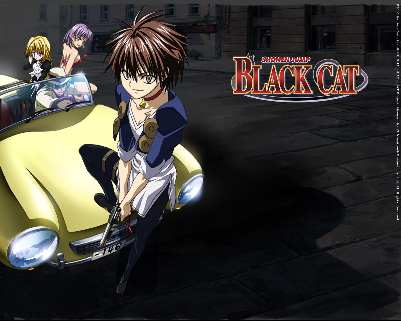 Black Cat - Black Cat Eve - HD Wallpaper 