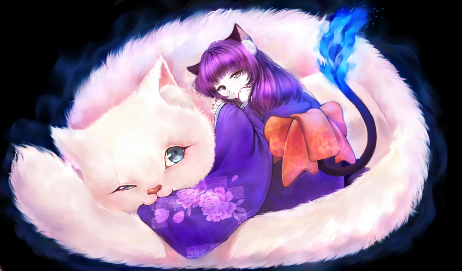 Purple Anime Kittens - HD Wallpaper 