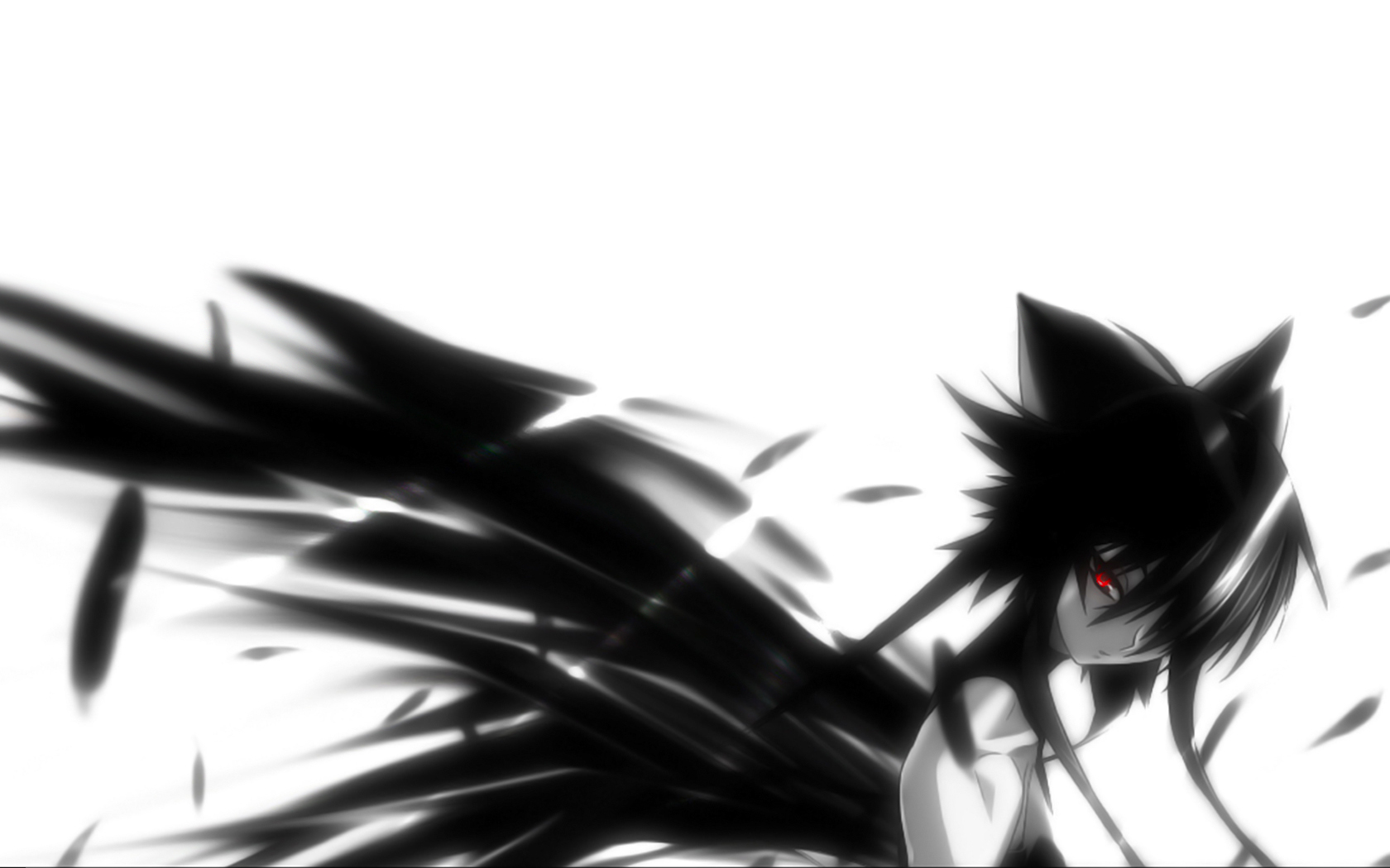 Wallpaper - Anime Black Cat With Red Eyes - HD Wallpaper 