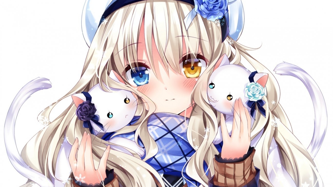 Anime Girl, Bicolored Eyes, Cats, Blonde, Cute, Blushy - Anime Girl Bicolor Eyes - HD Wallpaper 