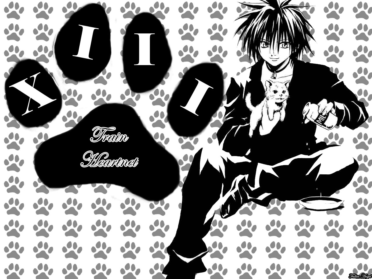 Anime Black Cat Crunch 208625 Wallpaper Wallpaper - Black Cat Anime Desktop Backgrounds - HD Wallpaper 