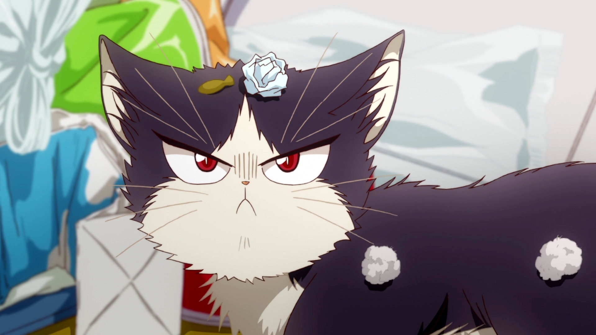 My Housemate Is A Cat - HD Wallpaper 