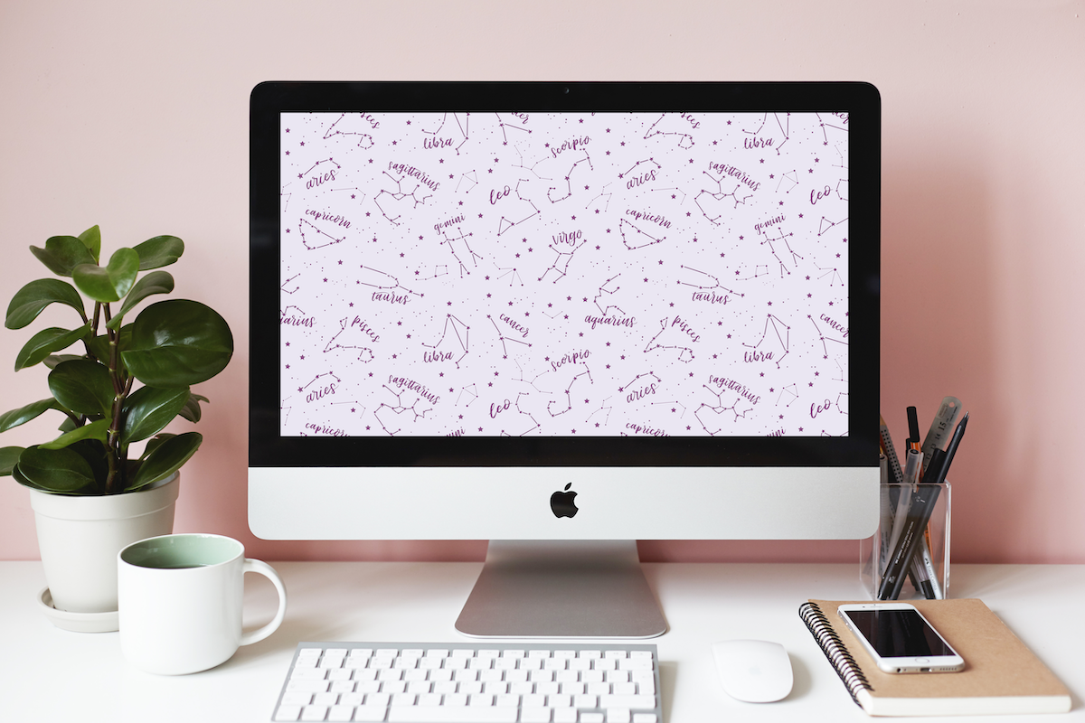 Tanaman Hias Di Meja Kerja - HD Wallpaper 