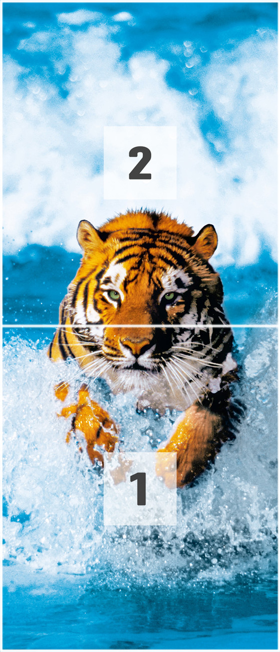 Bengal Tiger Wallpaper Mural - Bengalischer Tiger - HD Wallpaper 