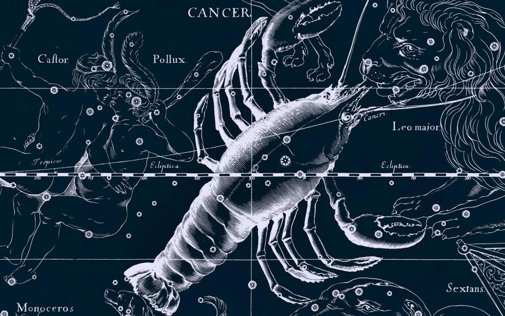 Cancer Zodiac - HD Wallpaper 