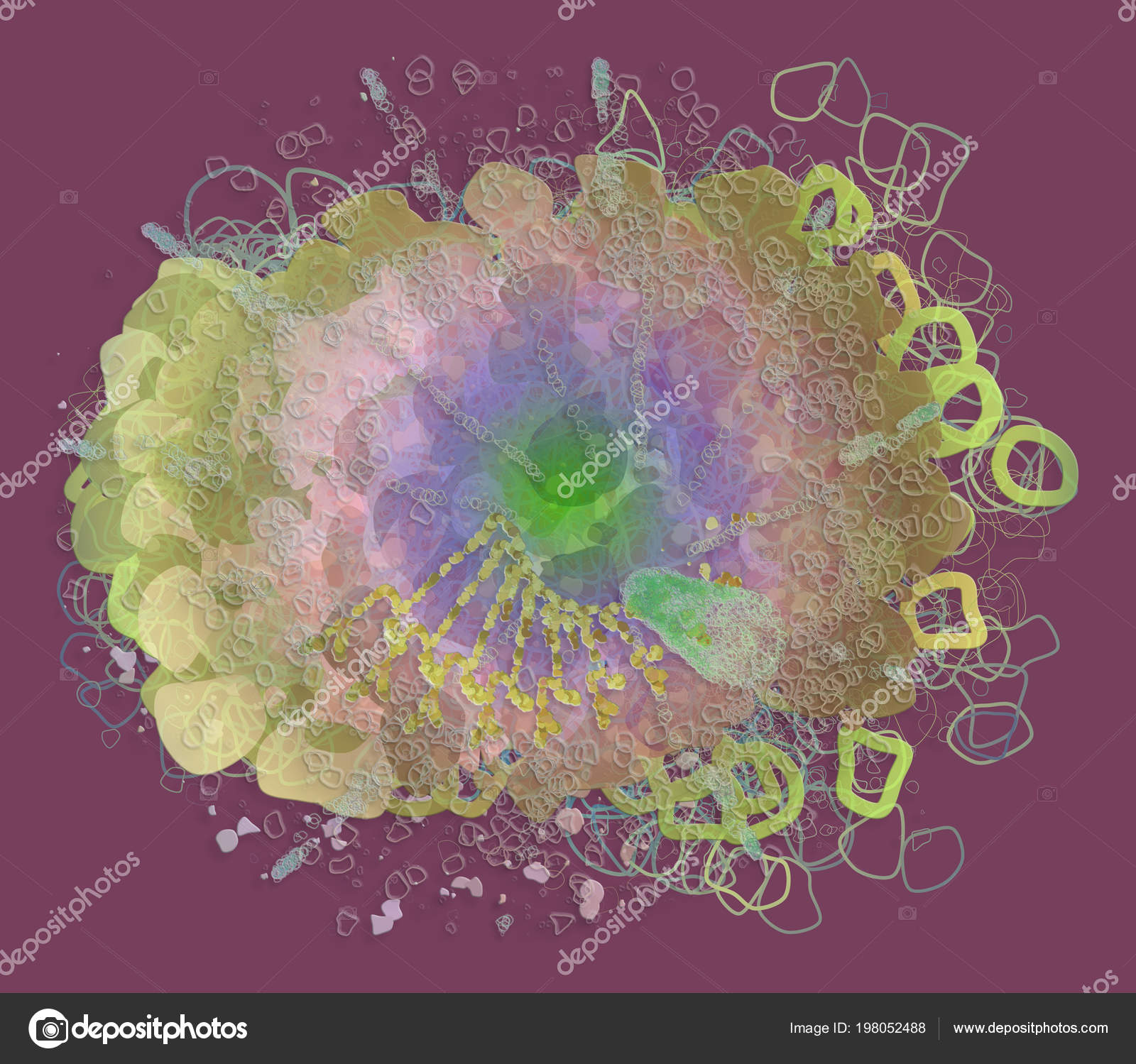 Circle - HD Wallpaper 