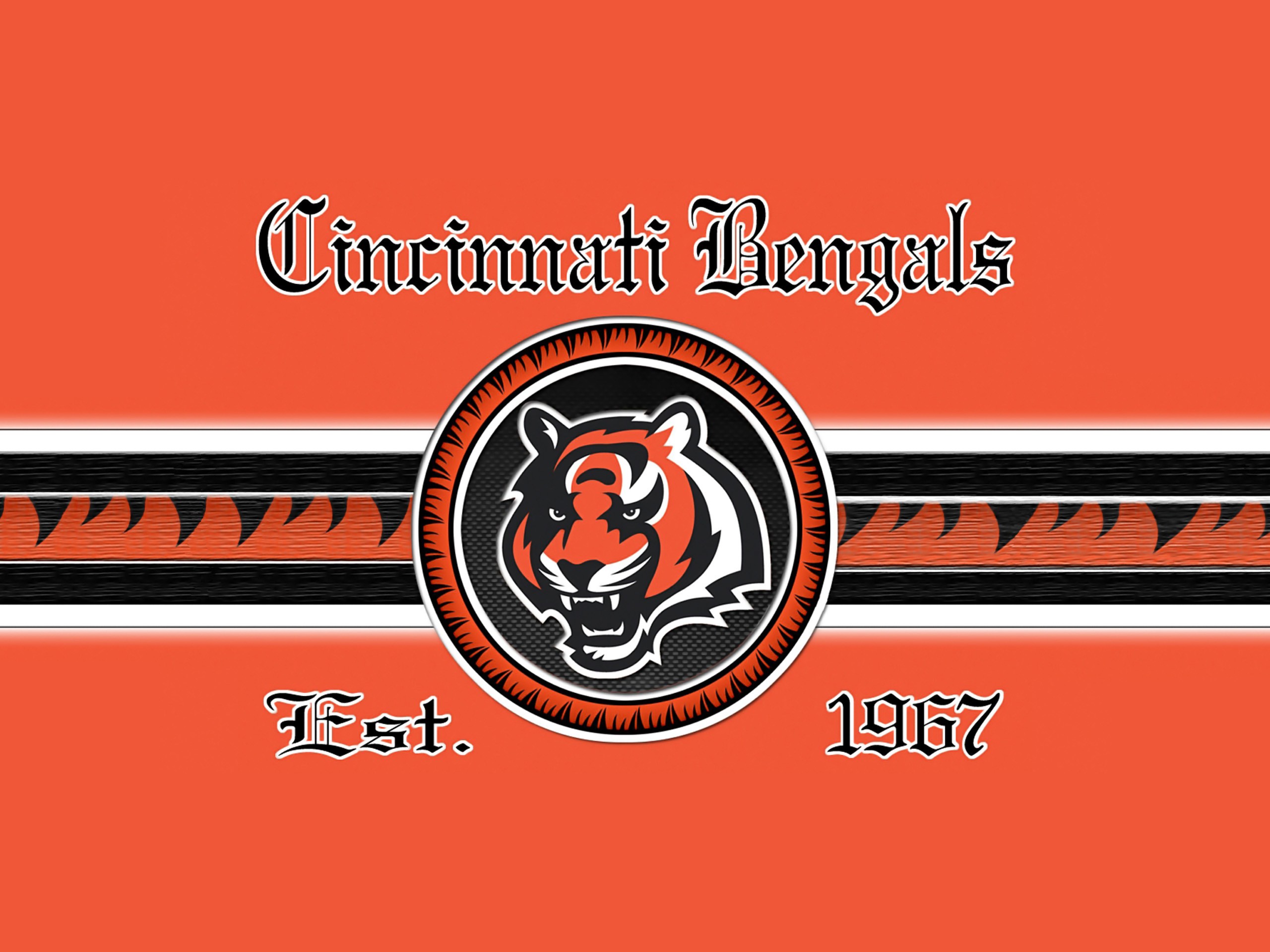 Cincinnati Bengals - HD Wallpaper 