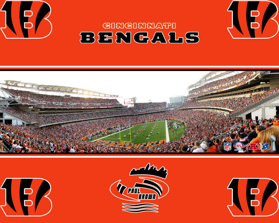 Cincinnati Bengals Wallpaper - Cincinnati Bengals - HD Wallpaper 