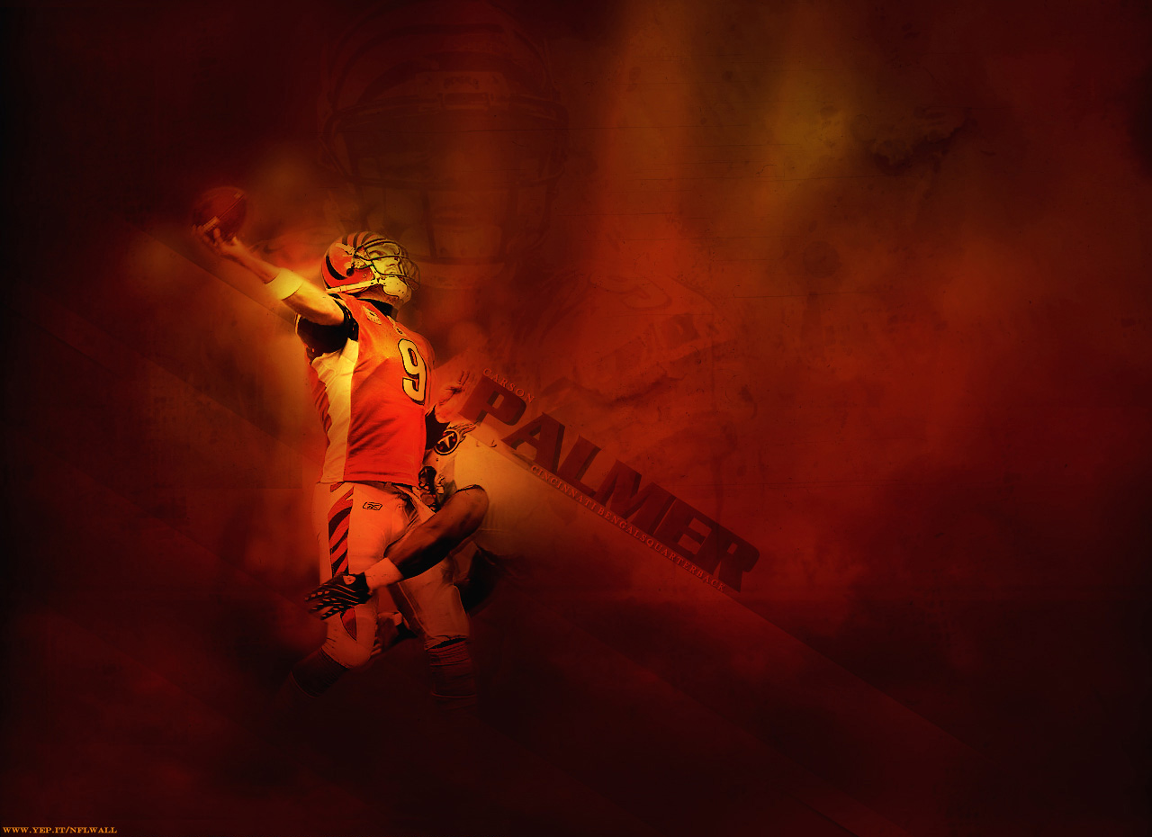 Carson Palmer Wallpaper Cincinnati Bengals - Carson Palmer - HD Wallpaper 