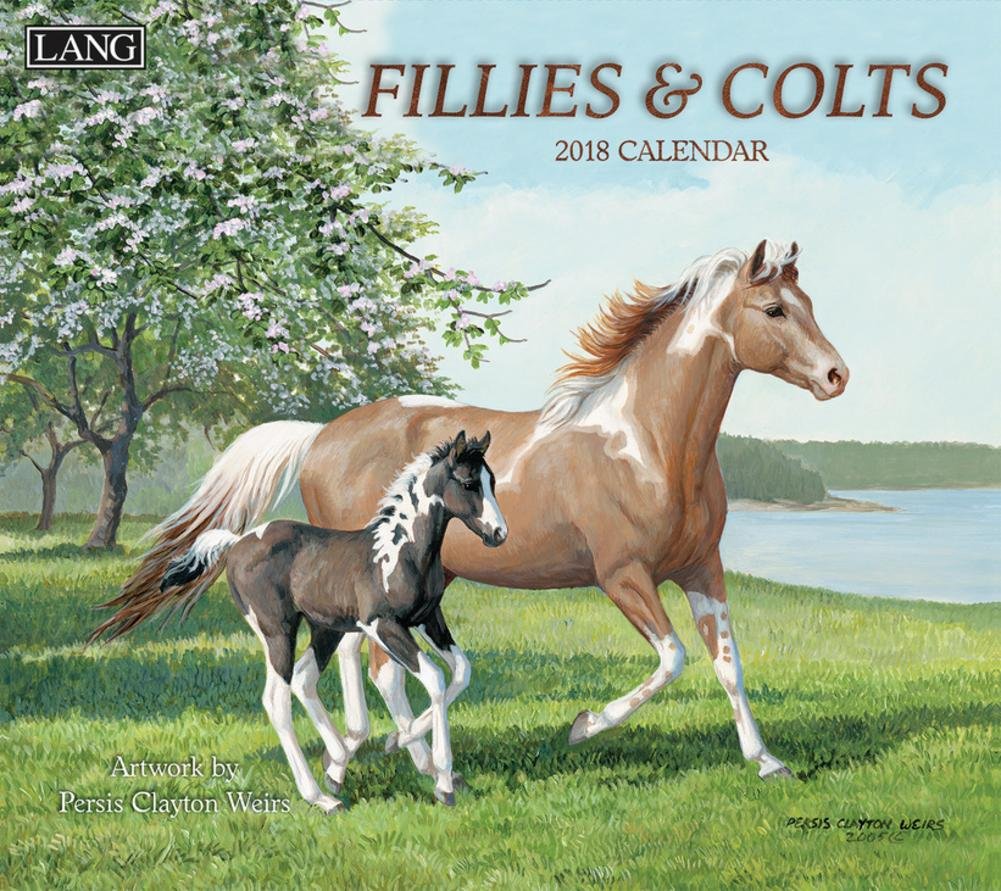 Fillies & Colts 2018 Calendar - HD Wallpaper 