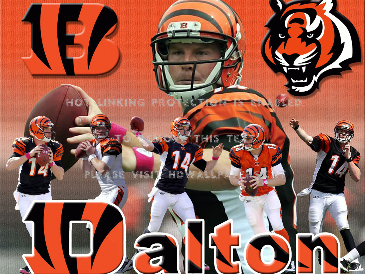 Cincinnati Bengals Quarterback - Cincinnati Bengals - HD Wallpaper 