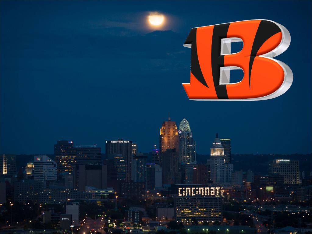 Nfl Cincinnati Bengals Wallpaper Just Too Funny Pinterest - Bengals Cincinnati City Background - HD Wallpaper 