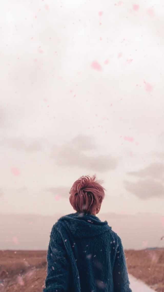 Jimin Wallpaper Spring Day - HD Wallpaper 