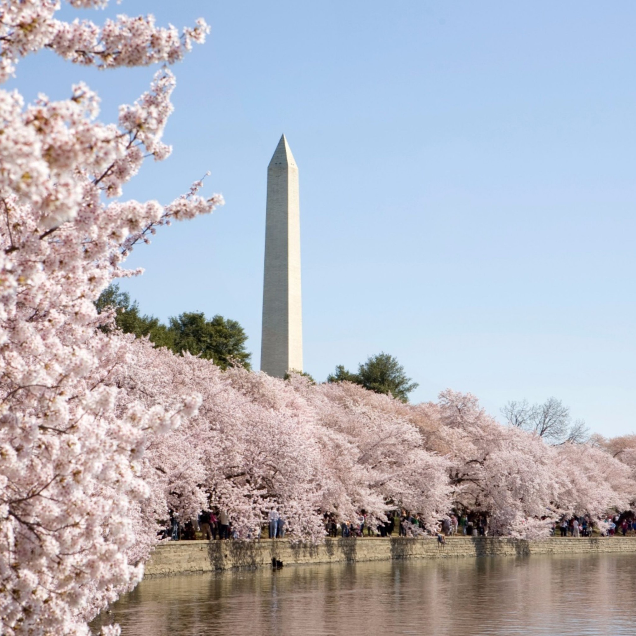 Related To Winter 4k Washington Dc Wallpaper 
 Data-src - Washington Monument - HD Wallpaper 