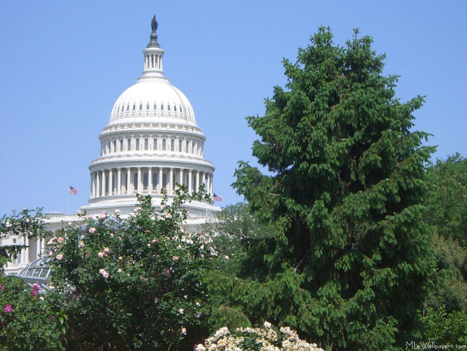 Capitol Building From Bartholdi Park - U.s. Capitol - HD Wallpaper 