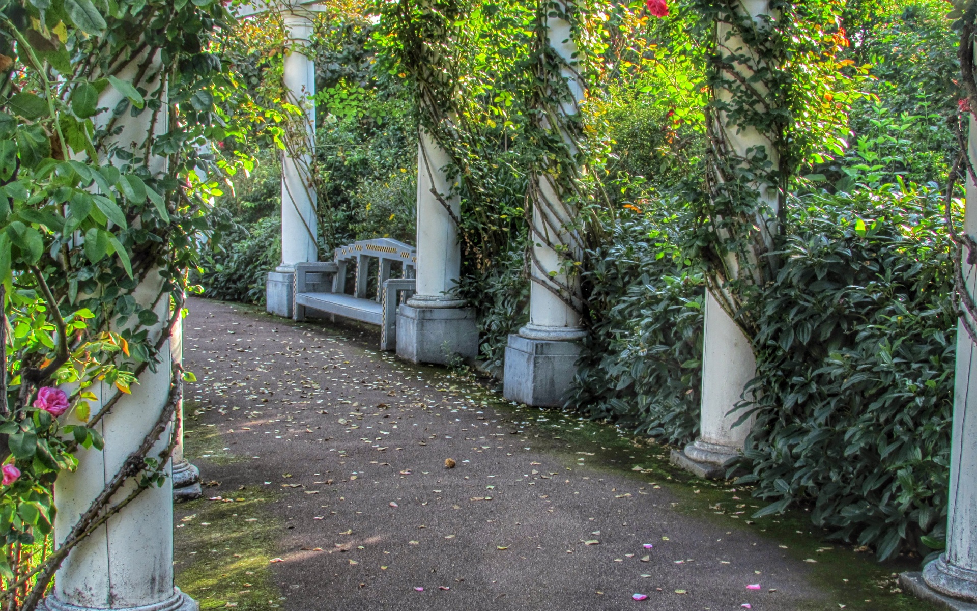 Botanical Garden - HD Wallpaper 