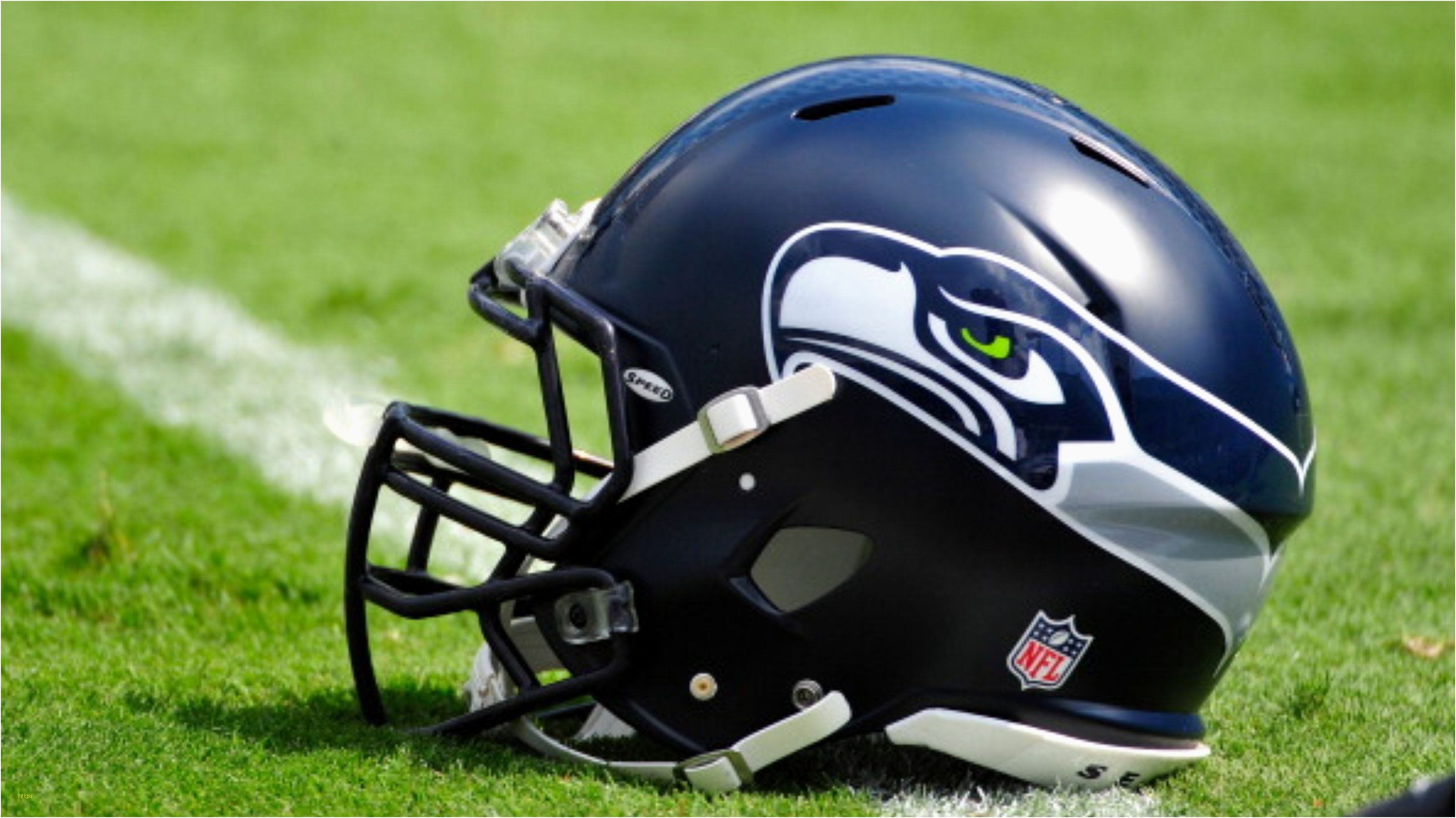 Wallpapersafari Iphone Wallpapers Seattle Seahawks - Seattle Seahawks Wallpaper Helmet - HD Wallpaper 