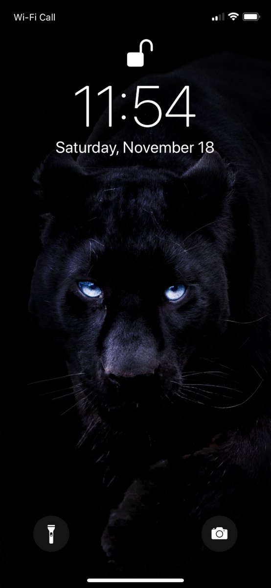 Iphone Bojack Horseman - HD Wallpaper 