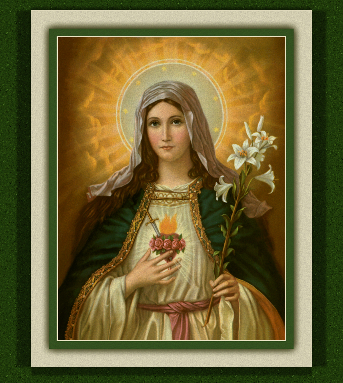 [​img] - Holy Heart Of Virgin Mary - HD Wallpaper 