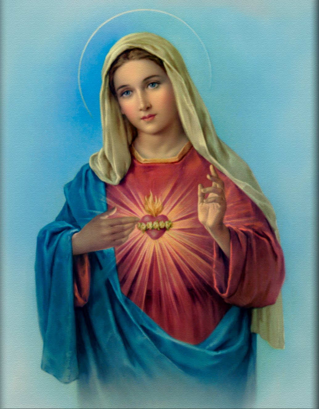 Immaculate Heart Of Mary - HD Wallpaper 