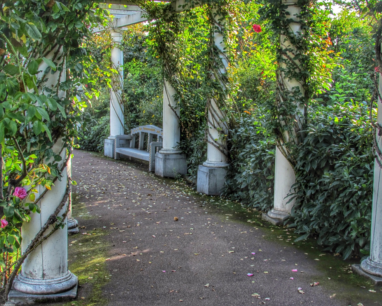 Photograph - HD Wallpaper 