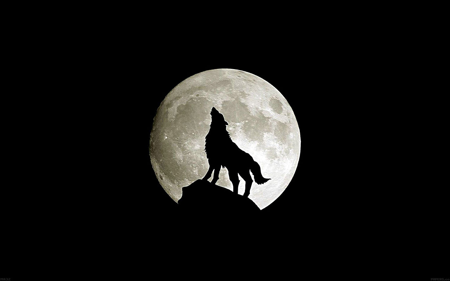 She's A Wolf Quotes - HD Wallpaper 
