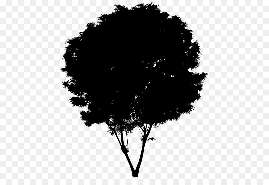 Desktop Wallpaper Computer Silhouette Leaf Sky - Silhouette - HD Wallpaper 